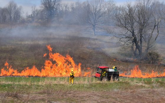 controlled fire burning in a meadow